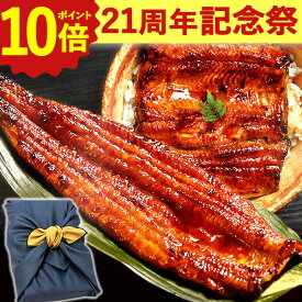 ＼21周年記念★ポイント10倍／ うなぎ 国産 蒲焼き 送料無料 鰻 食品 人気 ギフト 誕生日 内祝い 小分け ご褒美 お歳暮 御歳暮 お年賀 御年賀 敬老の日 プレゼント 特大長蒲焼1本 1尾 特大 カット蒲焼き2枚 最強配送 【静岡産 AAA 風呂敷】FA [2〜3人前] うなぎのたなか
