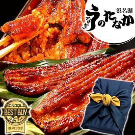 ＼土用丑直前SALE★ポイント2倍！／ うなぎ 国産 蒲焼き 食べ物 送料無料 鰻 プレゼント お祝い 食品 グルメ 人気 内祝い 誕生日 土用の丑の日 ギフト お年賀 御年賀 最強配送 ご褒美 180〜200g2本 2尾 【静岡産 通常 AAA 風呂敷】Ftn2 [2〜3人前]