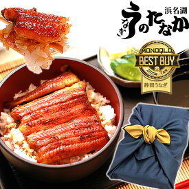 国産 うなぎ 蒲焼き 送料無料 鰻 ギフト お祝い 食べ物 ギフトセット 真空パック 誕生日 プレゼント 食品 内祝い グルメ 人気 あす楽 特大長蒲焼き3本 3尾 カット蒲焼き5枚 【静岡産 通常 AC 風呂敷】F100 [3～5人前]