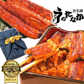 ＼あす楽15時！／ 国産 うなぎ 送料無料 鰻 蒲焼き ギフト 真空パック ギフトセット お祝いギフト 食品 食べ物 誕生日 プレゼント 内祝い 90～100g 蒲焼き2本 2尾 【静岡産 通常 ABB 風呂敷】 furoshiki-gset [1～2人前]