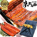 国産 うなぎ 送料無料 鰻 蒲焼き ギフト ギフト 真空パック ギフトセット お祝い 誕生日プレゼント 内祝い お祝いギフト グルメ 食品 食べ物 プレゼント クーポン お中元 御中元 夏ギフト 最強配送 【静岡産 通常 ABB 風呂敷】Ftn2 [2〜3人前]