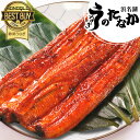 ＼まだ間に合う★土用丑！／ お中元 御中元 うなぎ 国産 蒲焼き ギフト 食べ物 送料無料 鰻 プレゼント 夏ギフト お祝い 食品 グルメ 人気 内祝い 誕生日 土用の丑の日 父の日 最強配送 ご褒美 150〜160g2本 2尾 【静岡産 AAA 化粧箱】nagakaba01-2 [2〜3人前]