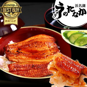 Y Ȃ  Ă V Mtg MtgZbg ^pbN j j a lC jMtg O Hi Hו v[g N[|  䒆 ăMtg ŋz 85`95g2