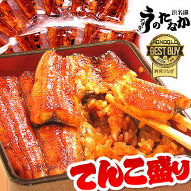 ＼ポイント6倍！／ 国産 うなぎ 送料無料 蒲焼き 鰻 ギフト ギフトセット 真空パック お祝い 食べ物 食品 内祝い 誕生日 プレゼント グルメ 人気 あす楽 選べる蒲焼き1キロ 【静岡産 ABB 簡易箱】tenkomori [3～5人前]