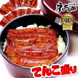 国産 うなぎ 蒲焼き 送料無料 鰻 ギフト お祝い ギフトセット 真空パック 誕生日 土用の丑の日 内祝い 人気 お祝いギフト グルメ 食品 食べ物 プレゼント クーポン お中元 御中元 夏ギフト 最強配送 選べる蒲焼き1キロ 【静岡産 通常 AC 簡易箱】tenkomori [3〜5人前]