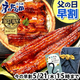 ＼先着150円クーポン！／ 父の日 早割 プレゼント うなぎ 国産 蒲焼き 食べ物 送料無料 鰻 お祝い 食品 グルメ 人気 ギフト 内祝い 誕生日 母の日 ご褒美 最強配送 特大長蒲焼1本 1尾 カット蒲焼き2枚 【静岡産 AAA 風呂敷】FA [2〜3人前]