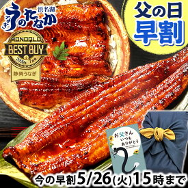 ＼先着100円クーポン！／ 父の日 早割 プレゼント うなぎ 国産 蒲焼き 食べ物 送料無料 鰻 お祝い 食品 グルメ 人気 ギフト 内祝い 誕生日 母の日 ご褒美 最強配送 特大長蒲焼1本 1尾 カット蒲焼き2枚 【静岡産 AAA 風呂敷】FA [2〜3人前]
