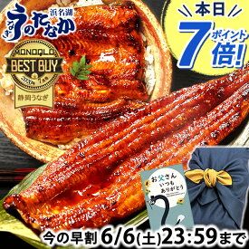 ＼まもなくお値段上がります！／ 父の日 早割 プレゼント うなぎ 国産 蒲焼き 食べ物 送料無料 鰻 食品 人気 ギフト 誕生日 お中元 御中元 夏ギフト ご褒美 特大長蒲焼1本 1尾 カット蒲焼き2枚 【静岡産 AAA 風呂敷】FA [2〜3人前]うなぎのたなか