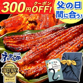 ＼まだ間に合う★今の価格6/17まで！／ 父の日 プレゼント うなぎ 国産 蒲焼き 食べ物 送料無料 鰻 食品 グルメ 人気 ギフト 誕生日 お中元 御中元 夏ギフト ご褒美 最強配送 180〜200g2本 2尾 【静岡産 通常 AAA 風呂敷】Ftn2 [2〜3人前]うなぎのたなか