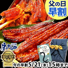 ＼先着150円クーポン！／ 父の日 早割 プレゼント うなぎ 国産 蒲焼き 食べ物 送料無料 鰻 お祝い 食品 グルメ 人気 ギフト 内祝い 誕生日 母の日 ご褒美 最強配送 180〜200g2本 2尾 【静岡産 通常 AAA 風呂敷】Ftn2 [2〜3人前]