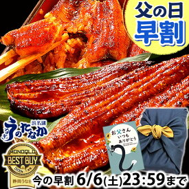＼スーパーSALE★ポイント7倍＆100円クーポン！／ 父の日 早割 プレゼント うなぎ 国産 蒲焼き 食べ物 送料無料 鰻 食品 グルメ 人気 ギフト 誕生日 お中元 御中元 夏ギフト ご褒美 最強配送 180〜200g2本 2尾 【静岡産 通常 AAA 風呂敷】Ftn2 [2〜3人前]うなぎのたなか