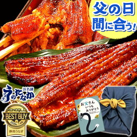 ＼本日★400円クーポン＆P9倍！／ 父の日 プレゼント うなぎ 国産 蒲焼き 食べ物 送料無料 鰻 食品 グルメ 人気 ギフト 誕生日 お中元 御中元 夏ギフト ご褒美 最強配送 180〜200g2本 2尾 【静岡産 通常 AAA 風呂敷】Ftn2 [2〜3人前]うなぎのたなか