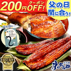 ＼まだ間に合う★今の価格6/17まで！／ 父の日 プレゼント うなぎ 国産 蒲焼き 食べ物 送料無料 鰻 食品 グルメ 人気 ギフト 誕生日 お中元 御中元 夏 ご褒美 90〜110g 150〜160g 180〜200g 2〜6尾 【静岡産 AAA 簡易箱】Gset [1〜6人前]うなぎのたなか