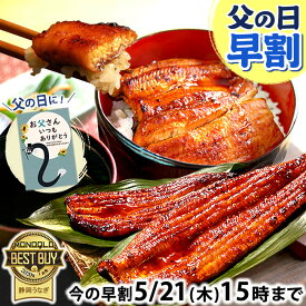 ＼先着150円クーポン！／ 父の日 早割 プレゼント うなぎ 国産 蒲焼き 食べ物 送料無料 鰻 お祝い 食品 グルメ 人気 ギフト 内祝い 誕生日 母の日 ご褒美 最強配送 90〜110g 150〜160g 180〜200g 2〜6尾 【静岡産 AAA 簡易箱】Gset [1〜6人前]