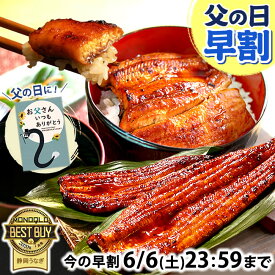 ＼まもなくお値段上がります！／ 父の日 早割 プレゼント うなぎ 国産 蒲焼き 食べ物 送料無料 鰻 食品 グルメ 人気 ギフト 誕生日 お中元 御中元 夏 ご褒美 90〜110g 150〜160g 180〜200g 2〜6尾 【静岡産 AAA 簡易箱】Gset [1〜6人前]うなぎのたなか