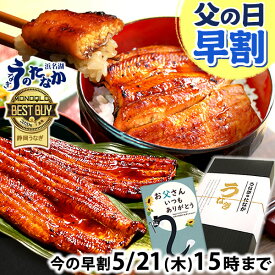 ＼先着150円クーポン！／ 父の日 早割 プレゼント うなぎ 国産 蒲焼き 食べ物 送料無料 鰻 お祝い 食品 グルメ 人気 ギフト 内祝い 誕生日 母の日 ご褒美 最強配送 90〜110g2本 2尾 【静岡産 通常 AAA 化粧箱】gset [1〜2人前]