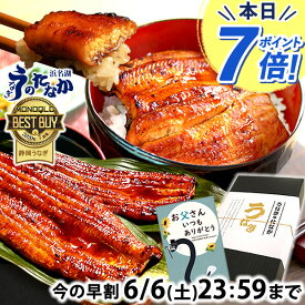 ＼まもなくお値段上がります！／ 父の日 早割 プレゼント うなぎ 国産 蒲焼き 食べ物 送料無料 鰻 食品 グルメ 人気 ギフト 誕生日 お中元 御中元 夏ギフト ご褒美 最強配送 90〜110g2本 2尾 【静岡産 通常 AAA 化粧箱】gset [1〜2人前]うなぎのたなか