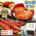 ＼早い者勝ち★100円クーポン／ 父の日 遅れてごめんね うなぎ 国産 蒲焼き ギフト 食べ物 送料無料 鰻 プレゼント お祝い 食品 グルメ 人気 クーポン 内祝い 誕生日 お中元 御中元 夏ギフト 最強配送 ご褒美 90〜110g2本 2尾 【静岡産 通常 AAA 化粧箱】gset [1〜2人前]