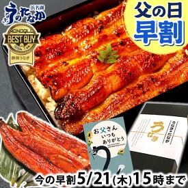 ＼先着150円クーポン！／ 父の日 早割 プレゼント うなぎ 国産 蒲焼き 食べ物 送料無料 鰻 お祝い 食品 グルメ 人気 ギフト 内祝い 誕生日 母の日 ご褒美 最強配送 180〜200g2本 2尾 【静岡産 通常 AAA 化粧箱】iset [2〜3人前]