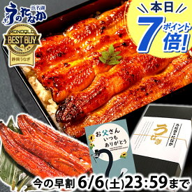 ＼まもなくお値段上がります！／ 父の日 早割 プレゼント うなぎ 国産 蒲焼き 食べ物 送料無料 鰻 食品 グルメ 人気 ギフト 誕生日 お中元 御中元 夏ギフト ご褒美 最強配送 180〜200g2本 2尾 【静岡産 通常 AAA 化粧箱】iset [2〜3人前]うなぎのたなか
