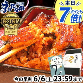 ＼まもなくお値段上がります！／ 父の日 早割 プレゼント うなぎ 国産 蒲焼き 食べ物 送料無料 鰻 食品 人気 ギフト 誕生日 お中元 夏ギフト ご褒美 長蒲焼き 蒲焼き2枚〜6枚 きざみうなぎ 【静岡産 通常 AAA 化粧箱】PON-2 [1〜6人前]うなぎのたなか