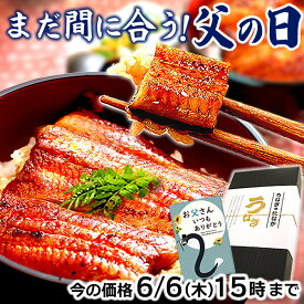 ＼W利用で205円クーポン！／ 父の日 プレゼント うなぎ 国産 蒲焼き ギフト 食べ物 送料無料 鰻 真空パック 食品 グルメ 人気 クーポン 内祝い 誕生日 お祝い お中元 御中元 夏ギフト あす楽 85～95g3枚 【静岡産 通常 AAA 化粧箱】Bset [2～3人前]