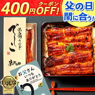 ＼本日★店内全品ポイント6倍！／ 父の日 浜名湖 うなぎ プレゼント 国産 蒲焼き 食べ物 送料無料 鰻 食…