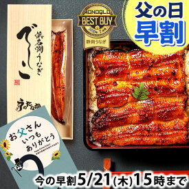 ＼先着100円クーポン！／ 父の日 早割 浜名湖 うなぎ プレゼント 国産 蒲焼き 食べ物 送料無料 鰻 食品 グルメ お祝い 人気 内祝い 誕生日 母の日 ご褒美 最強配送 ギフト 浜名湖うなぎ でしこ 110〜120g 115〜120g 1〜3枚 本 尾 【静岡産 AAA 専用箱】deshiko [1〜3人前]