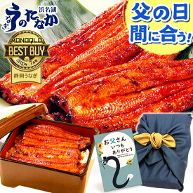 ＼本日★400円クーポン＆P9倍！／ 父の日 プレゼント うなぎ 国産 蒲焼き 食べ物 送料無料 鰻 食品 人気 ギフト 誕生日 お中元 御中元 夏 ご褒美 特大長蒲焼き3本 3尾 カット蒲焼き5枚 【静岡産 通常 AAA 風呂敷】F100 [3〜5人前]うなぎのたなか