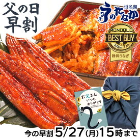 ＼15時に値段上がります！／ 父の日 早割 プレゼント うなぎ 国産 蒲焼き ギフト 食べ物 送料無料 鰻 真空パック 食品 人気 クーポン 内祝い 誕生日 お祝い 母の日 あす楽 カーネーション 90～100g 蒲焼き2本 2尾 【静岡産 通常 AAA 風呂敷】 furoshiki-gset [1～2人前]