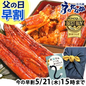 ＼先着150円クーポン！／ 父の日 早割 プレゼント うなぎ 国産 蒲焼き 食べ物 送料無料 鰻 お祝い 食品 グルメ 人気 ギフト 内祝い 誕生日 母の日 ご褒美 最強配送 特大長蒲焼き1本 1尾 カット蒲焼き2枚 【静岡産 AAA 化粧箱】Aset [2〜3人前]