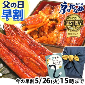 ＼先着100円クーポン！／ 父の日 早割 プレゼント うなぎ 国産 蒲焼き 食べ物 送料無料 鰻 お祝い 食品 グルメ 人気 ギフト 内祝い 誕生日 母の日 ご褒美 最強配送 特大長蒲焼き1本 1尾 カット蒲焼き2枚 【静岡産 AAA 化粧箱】Aset [2〜3人前]