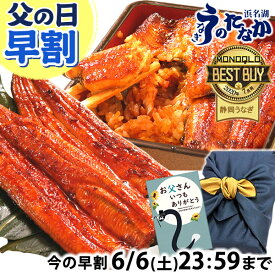 ＼スーパーSALE★ポイント7倍＆100円クーポン！／ 父の日 早割 プレゼント うなぎ 国産 蒲焼き 食べ物 送料無料 鰻 食品 人気 ギフト 誕生日 お中元 御中元 夏ギフト ご褒美 特大長蒲焼き1本 1尾 カット蒲焼き2枚 【静岡産 AAA 化粧箱】Aset [2〜3人前]うなぎのたなか