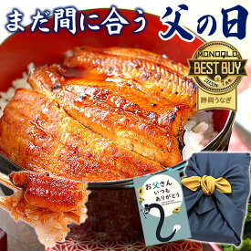 ＼W利用で155円クーポン！／ 父の日 プレゼント うなぎ 国産 蒲焼き ギフト 食べ物 送料無料 鰻 真空パック 食品 グルメ 人気 クーポン 内祝い 誕生日 お祝い お中元 御中元 夏ギフト あす楽 85～95g2枚 【静岡産 通常 AAA 風呂敷】furoshiki-pon2 [1～2人前]