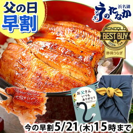＼先着150円クーポン！／ 父の日 早割 プレゼント うなぎ 国産 蒲焼き 食べ物 送料無料 鰻 お祝い 食品 グルメ 人気 ギフト 内祝い 誕生日 母の日 ご褒美 最強配送 85〜95g2枚 【静岡産 通常 AAA 風呂敷】furoshiki-pon2 [1〜2人前]