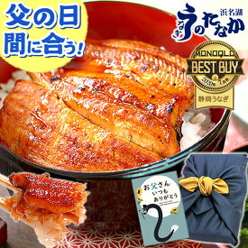 ＼まだ間に合う★200円クーポン／ 父の日 プレゼント うなぎ 国産 蒲焼き 食べ物 送料無料 鰻 食品 人気 ギフト 誕生日 お中元 御中元 夏ギフト ご褒美 最強配送 85〜95g2枚 【静岡産 通常 AAA 風呂敷】furoshiki-pon2 [1〜2人前]うなぎのたなか