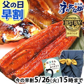 ＼先着100円クーポン！／ 父の日 早割 プレゼント うなぎ 国産 蒲焼き 食べ物 送料無料 鰻 お祝い 食品 グルメ 人気 ギフト 内祝い 誕生日 母の日 ご褒美 最強配送 蒲焼1本 1尾 【静岡産 通常 AAA 風呂敷】 Ftn1 [1〜2人前]