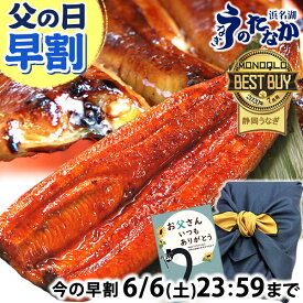 ＼スーパーSALE★ポイント7倍＆100円クーポン！／ 父の日 早割 プレゼント うなぎ 国産 蒲焼き 食べ物 送料無料 鰻 食品 グルメ 人気 ギフト 誕生日 お中元 御中元 夏ギフト ご褒美 最強配送 蒲焼1本 1尾 【静岡産 通常 AAA 風呂敷】 Ftn1 [1〜2人前]うなぎのたなか