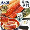 父の日プレゼント ギフト うなぎ 食べ物 国産 父の日 ギフト 送料無料 鰻 蒲焼き ギフトセット 90〜110g2本 【静岡 AA 化粧箱】gset [1〜2...