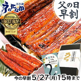 ＼15時に値段上がります！／ 父の日 早割 プレゼント うなぎ 国産 蒲焼き ギフト 食べ物 送料無料 鰻 真空パック 食品 グルメ 人気 クーポン 内祝い 誕生日 お祝い あす楽 180～200g2本 2尾 【静岡産 通常 AAA 化粧箱】iset [2～3人前]