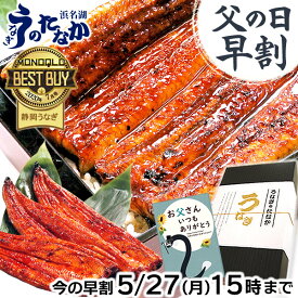 ＼5/27にお値段上がります！／ 父の日 早割 プレゼント うなぎ 国産 蒲焼き ギフト 食べ物 送料無料 鰻 真空パック 食品 グルメ 人気 クーポン 内祝い 誕生日 お祝い 母の日 あす楽 カーネーション造花付 180～200g3本 3尾 【静岡産 通常 AAA 化粧箱】jset [2～3人前]