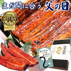 ＼W利用で305円クーポン！／ 父の日 プレゼント うなぎ 国産 蒲焼き ギフト 食べ物 送料無料 鰻 真空パック 食品 グルメ 人気 クーポン 内祝い 誕生日 お祝い お中元 御中元 夏ギフト あす楽 180～200g3本 3尾 【静岡産 通常 AAA 化粧箱】jset [2～3人前]