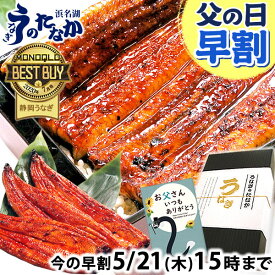 ＼先着200円クーポン！／ 父の日 早割 プレゼント うなぎ 国産 蒲焼き 食べ物 送料無料 鰻 お祝い 食品 グルメ 人気 ギフト 内祝い 誕生日 母の日 ご褒美 最強配送 180〜200g3本 3尾 【静岡産 通常 AAA 化粧箱】jset [2〜3人前]