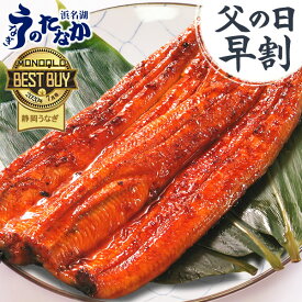 ＼先着150円クーポン！／ 父の日 早割 プレゼント うなぎ 国産 蒲焼き 食べ物 送料無料 鰻 お祝い 食品 グルメ 人気 ギフト ご褒美 150〜160g2本 2尾 【静岡産 AAA 化粧箱】nagakaba01-2 [2〜3人前]