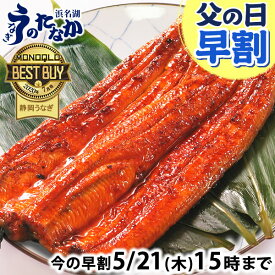 ＼先着150円クーポン！／ 父の日 早割 プレゼント うなぎ 国産 蒲焼き 食べ物 送料無料 鰻 お祝い 食品 グルメ 人気 ギフト 内祝い 誕生日 母の日 ご褒美 最強配送 150〜160g2本 2尾 【静岡産 AAA 化粧箱】nagakaba01-2 [2〜3人前]