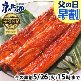 ＼先着100円クーポン！／ 父の日 早割 プレゼント うなぎ 国産 蒲焼き 食べ物 送料無料 鰻 お祝い 食品 グルメ 人気 ギフト 内祝い 誕生日 母の日 ご褒美 最強配送 150〜160g2本 2尾 【静岡産 AAA 化粧箱】nagakaba01-2 [2〜3人前]