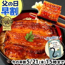＼早割5/20(水)まで！／ 父の日 早割 プレゼント うなぎ 国産 蒲焼き 食べ物 送料無料 鰻 お祝い 食品 グルメ 人気 ギ…
