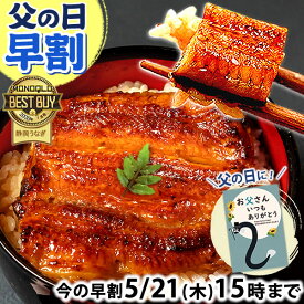 ＼先着100円クーポン！／ 父の日 早割 プレゼント うなぎ 国産 蒲焼き 食べ物 送料無料 鰻 お祝い 食品 グルメ 人気 ギフト 内祝い 誕生日 母の日 ご褒美 最強配送 85〜95g 2枚〜6枚 【静岡産 AAA 簡易箱・化粧箱・風呂敷】 [1〜6人前]