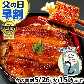 ＼先着100円クーポン！／ 父の日 早割 プレゼント うなぎ 国産 蒲焼き 食べ物 送料無料 鰻 お祝い 食品 グルメ 人気 ギフト 内祝い 誕生日 母の日 ご褒美 最強配送 85〜95g 2枚〜6枚 【静岡産 AAA 簡易箱・化粧箱・風呂敷】 [1〜6人前]