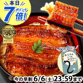 ＼まもなくお値段上がります！／ 父の日 早割 プレゼント うなぎ 国産 蒲焼き 食べ物 送料無料 鰻 食品 グルメ 人気 ギフト 誕生日 お中元 御中元 夏ギフト ご褒美 85〜95g 2枚〜6枚 【静岡産 AAA 簡易箱・化粧箱・風呂敷】 [1〜6人前]うなぎのたなか